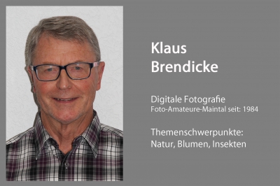 Klaus  Brendicke