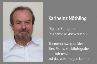 Karlheinz Nöthling